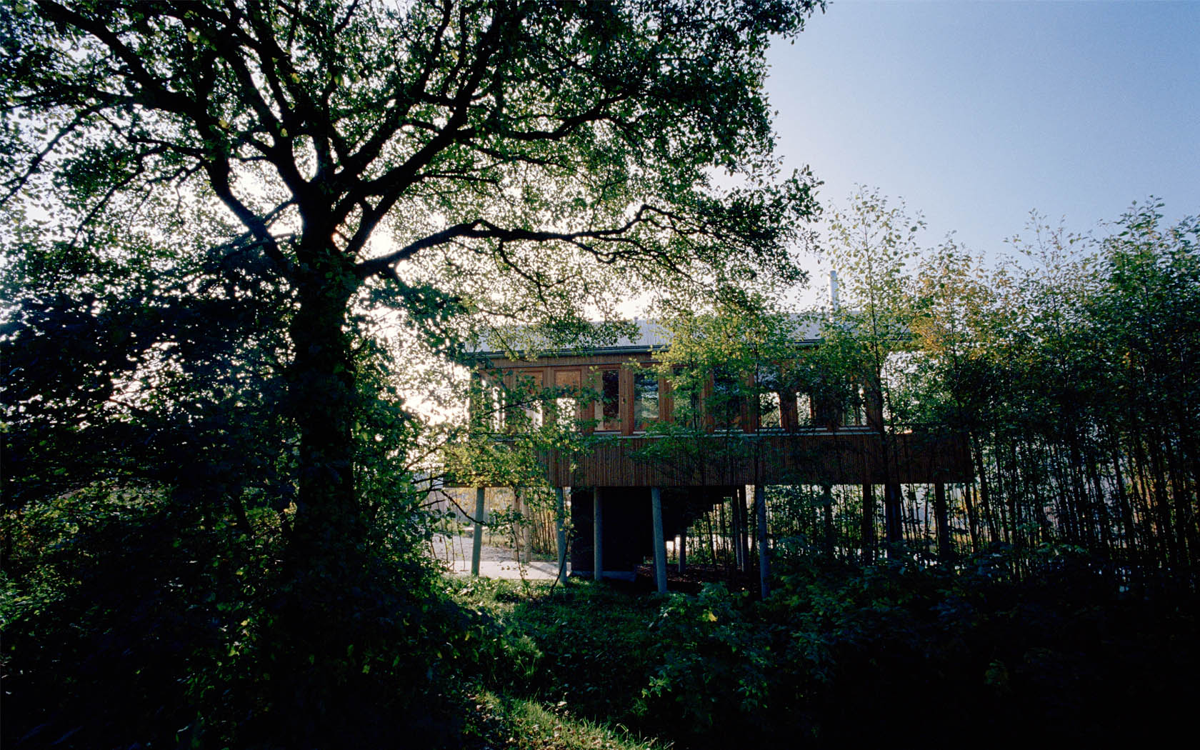 07Gaestehuetten by studio lot.jpg